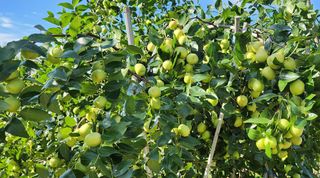 하은와송~♡♡♡~님의 자유주제 · 자유게시판 작성글 사진