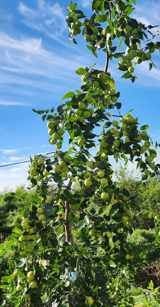 하은와송~♡♡♡~님의 자유주제 · 자유게시판 작성글 사진