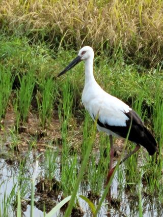 나는 나님의 자유주제 · 자유게시판 작성글 사진