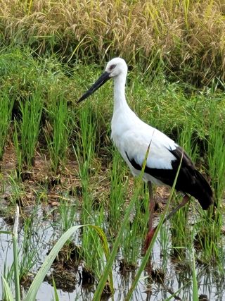 나는 나님의 자유주제 · 자유게시판 작성글 사진
