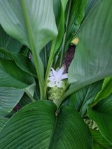 팜모닝 자유주제·자유게시판 게시글 이미지