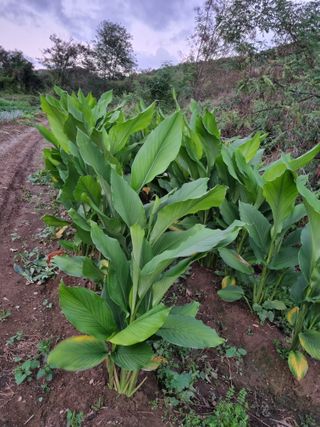 김홍숙님의 자유주제 · 자유게시판 작성글 사진