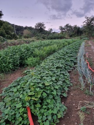 김홍숙님의 자유주제 · 자유게시판 작성글 사진