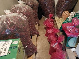 설진완님의 고추 · 영농일지 작성글 사진