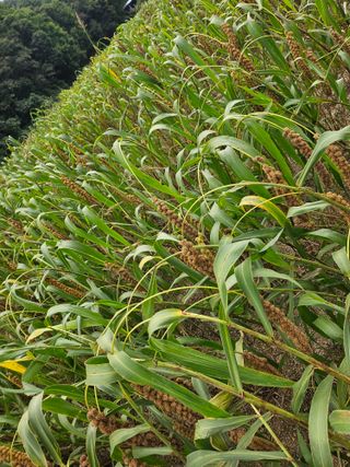 오명희 님의 자유주제 · 자유게시판 작성글 사진