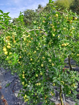 신점식님의 자유주제 · 자유게시판 작성글 사진