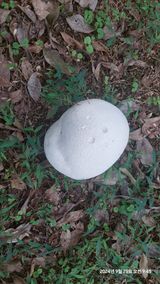 팜모닝 자유주제·자유게시판 게시글 이미지