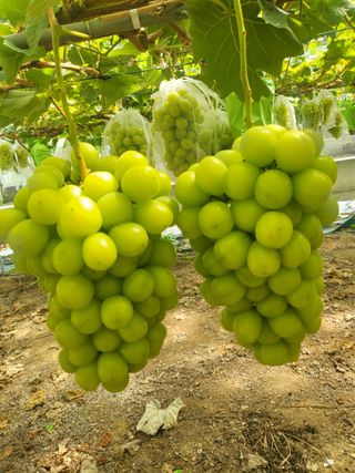 김재덕님의 자유주제 · 자유게시판 작성글 사진