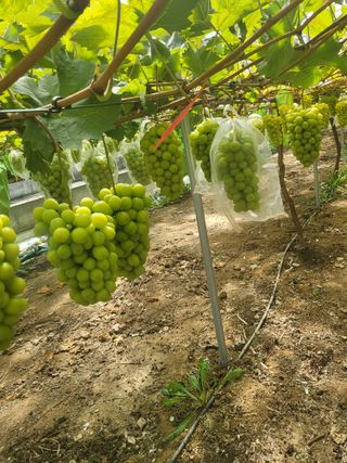 김재덕님의 자유주제 · 자유게시판 작성글 사진