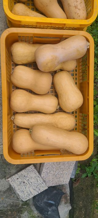 정진해님의 자유주제 · 자유게시판 작성글 사진