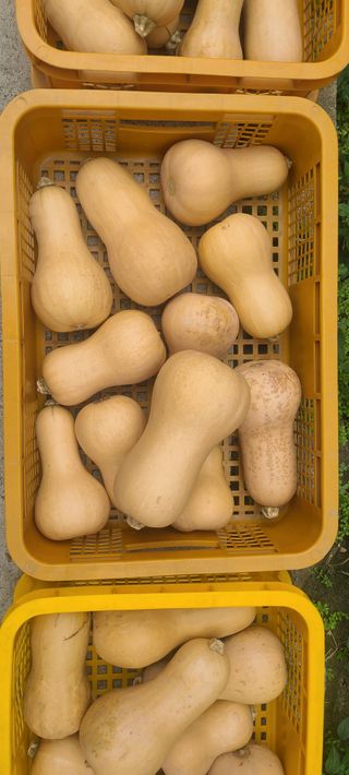 정진해님의 자유주제 · 자유게시판 작성글 사진