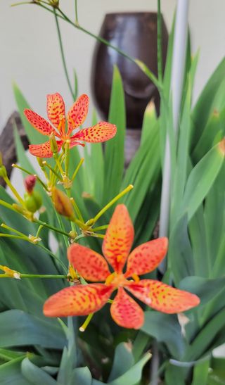 권세택 님의 팜모닝 · 출석 작성글 사진