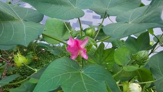 김석(휴대폰.인터넷매장)님의 자유주제 · 사진전 작성글 사진