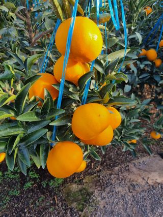 박동수님의 자유주제 · 자유게시판 작성글 사진