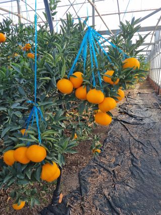 박동수님의 자유주제 · 자유게시판 작성글 사진