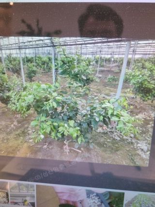 박동수님의 자유주제 · 자유게시판 작성글 사진