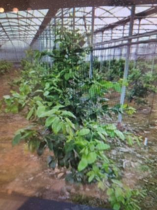 박동수님의 자유주제 · 자유게시판 작성글 사진