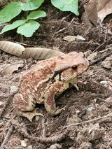 팜모닝 자유주제·자유게시판 게시글 이미지