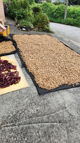 치악산골농부님의 기타작물 · 영농일지 작성글 사진