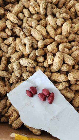 치악산골농부님의 기타작물 · 영농일지 작성글 사진