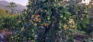 장준재님의 자유주제 · 자유게시판 작성글 사진