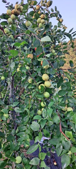 장준재님의 자유주제 · 자유게시판 작성글 사진