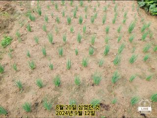 조용길님의 자유주제 · 자유게시판 작성글 사진