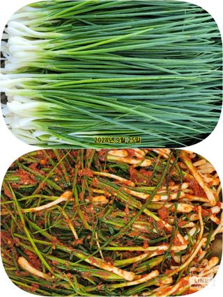 조용길님의 자유주제 · 자유게시판 작성글 사진