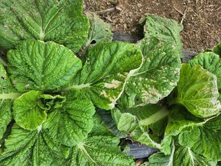 손정아님의 자유주제 · 자유게시판 작성글 사진