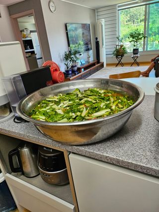 충남공주이도은님의 자유주제 · 자유게시판 작성글 사진