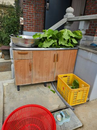 충남공주이도은님의 자유주제 · 자유게시판 작성글 사진