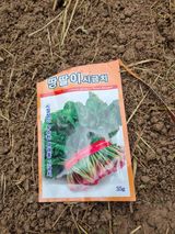 팜모닝 시금치·영농일지 게시글 이미지