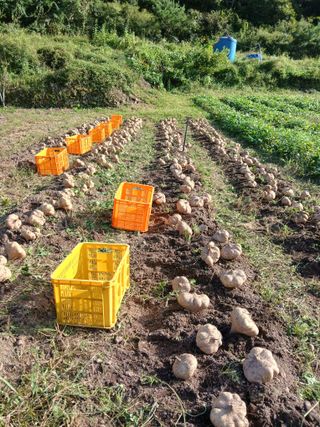 유석범님의 자유주제 · 자유게시판 작성글 사진