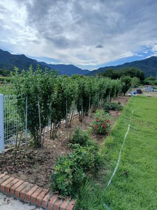 하필남님의 자유주제 · 자유게시판 작성글 사진