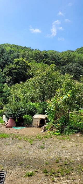 지재광님의 팜모닝 · 출석 작성글 사진