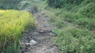 김강호님의 자유주제 · 자유게시판 작성글 사진