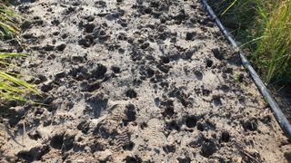 김강호님의 자유주제 · 자유게시판 작성글 사진