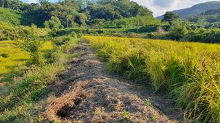 김강호님의 자유주제 · 자유게시판 작성글 사진