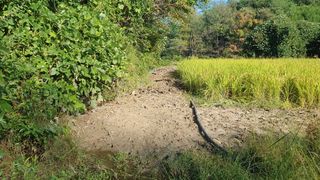 김강호님의 자유주제 · 자유게시판 작성글 사진
