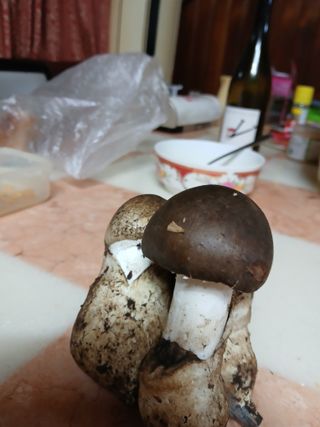 둥이 맘님의 자유주제 · 자유게시판 작성글 사진