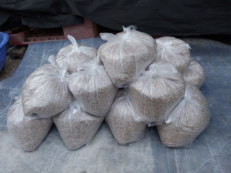 장터 상품 [국산참깨  1.6kg] 썸네일