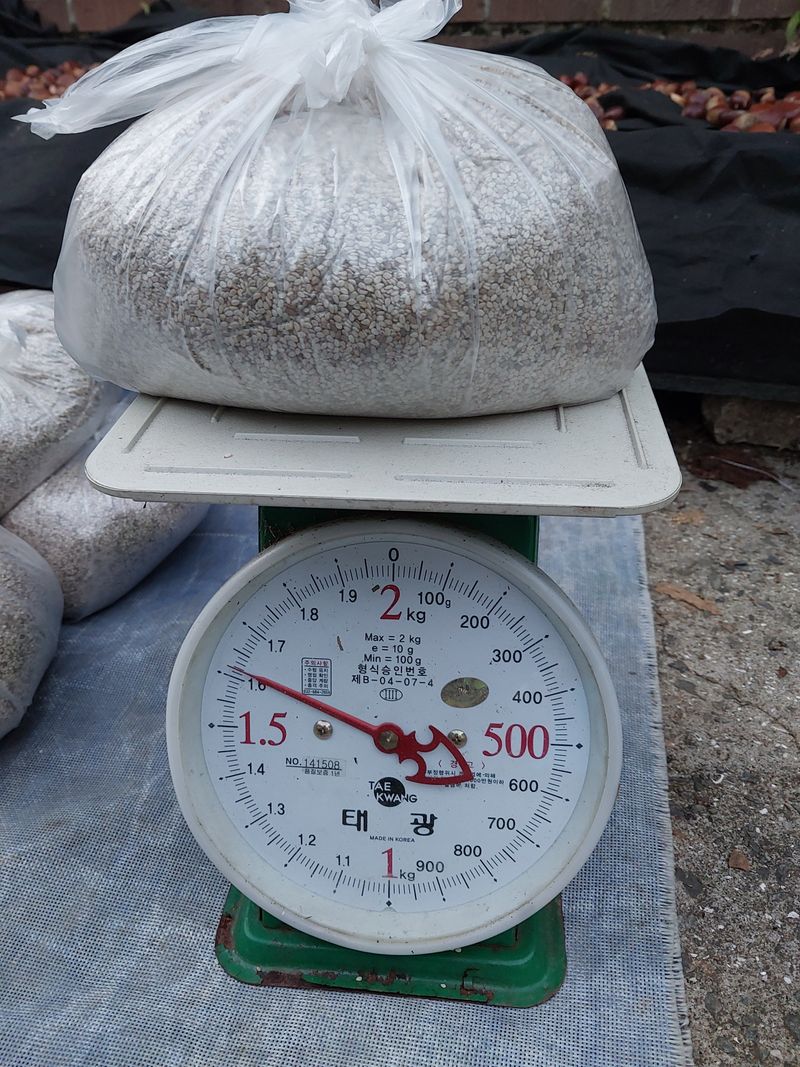 허니블루님의 장터 판매 상품 [국산참깨  1.6kg] 첨부 사진