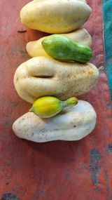 팜모닝 자유주제·자유게시판 게시글 이미지