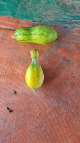 이천용님의 자유주제 · 자유게시판 작성글 사진