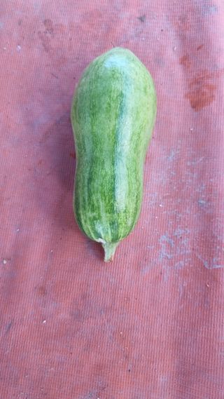 이천용님의 자유주제 · 자유게시판 작성글 사진