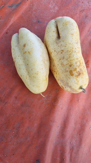 이천용님의 자유주제 · 자유게시판 작성글 사진