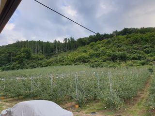 김인태님의 사과 · 품질 향상 작성글 사진