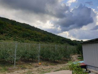 김인태님의 사과 · 품질 향상 작성글 사진