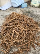 팜모닝 · 게시글 이미지