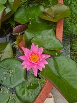 팜모닝 자유주제·자유게시판 게시글 이미지